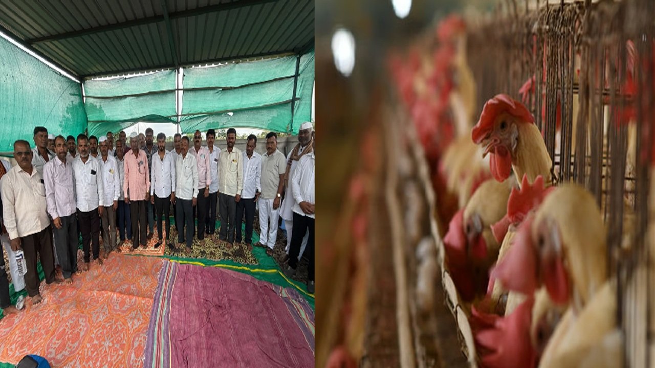 १ सप्टेंबरला कुक्कुटपालकांचा एल्गार! प्रलंबित मागण्यांसाठी महाराष्ट्र राज्य पोल्ट्री योद्धा संघटनेचा पुण्यात भव्य मोर्चा