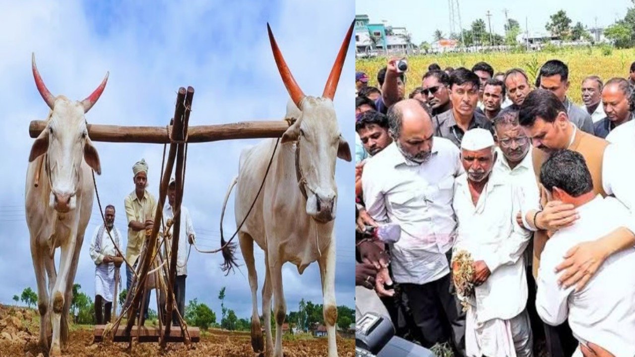 “सरकार मदत करतंय की चेष्टा?” ३२ हजार कोटींच्या कर्जमाफीचा फुगवटा; शेतकऱ्यांच्या वाट्याला फक्त ९४० रुपये,बळीराजाची उघड-उघड फसवणूक