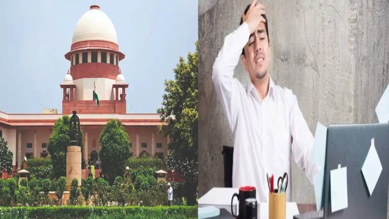 सरकारी नोकरीतून बडतर्फ करणं म्हणजे मृत्युदंडासारखं! सर्वोच्च न्यायालयाचा ऐतिहासिक निर्णय, संपूर्ण कुटुंबावर आर्थिक संकट येत असल्याचा दावा